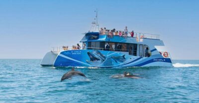 Lagos: Dolphins & Caves - Catamaran - The 2.5-Hour Catamaran Ride: Smooth, Spacious, and Family-Friendly