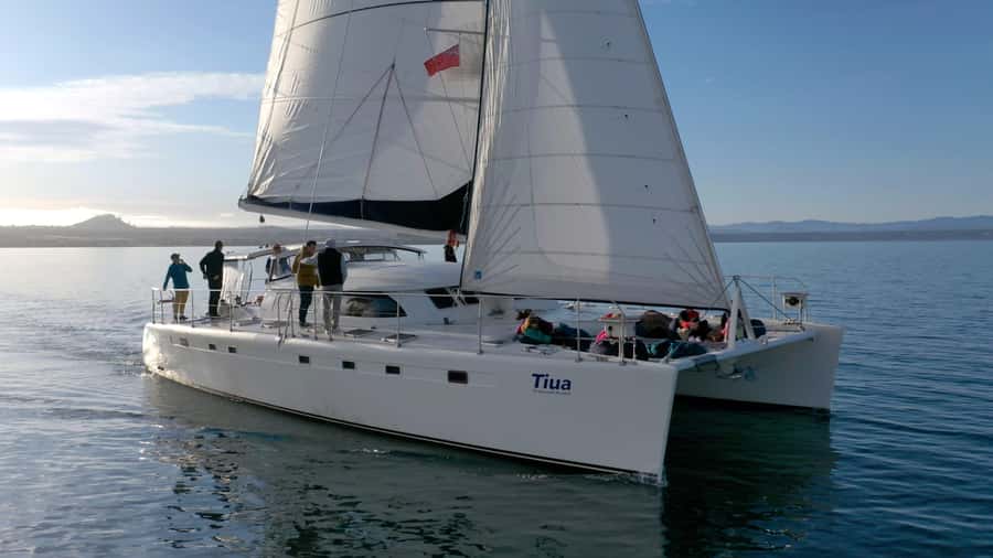 Lake Taupo: Luxury Sailing Catamaran to Māori Rock Carvings - Key things to notice before you book Tiua on Lake Taupo