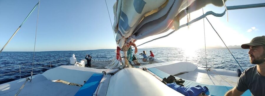 Lanzarote: Whale and Dolphin Watching Eco-Friendly Catamaran - What to bring (and what to skip) for a comfortable cruise