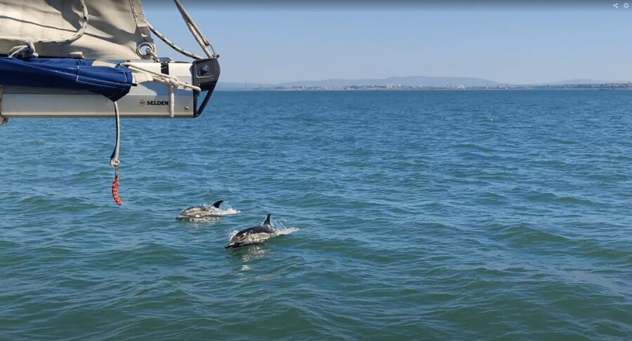 Lisbon: Private Boutique Boat Tour – Sail in Style - The Educar à Vela solidarity twist: what your booking funds