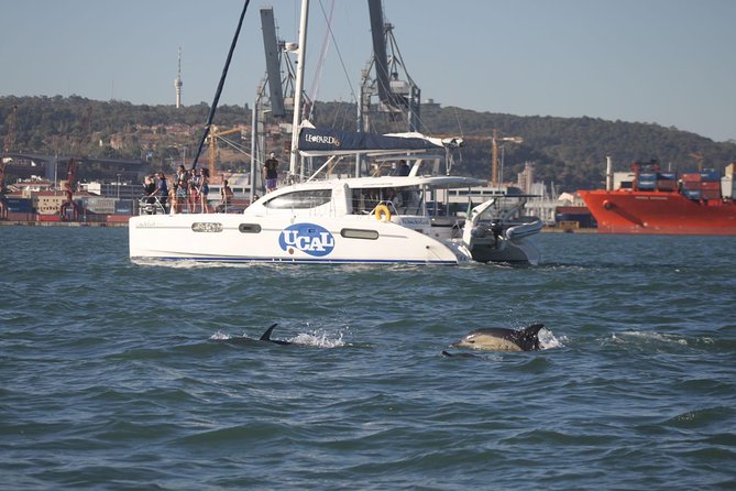 Lisbon: Sunset Cruise With Drinks on Spacious Yacht - The Sunset Route on the Tagus: What You’ll See from the Water