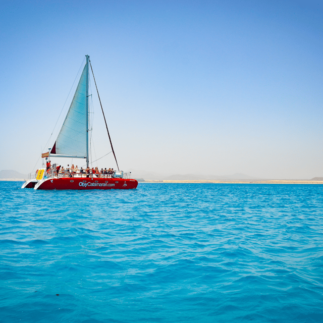 Lobos Island: 4-Hour Catamaran Trip with Lunch - A short catamaran escape to Lobos from Corralejo