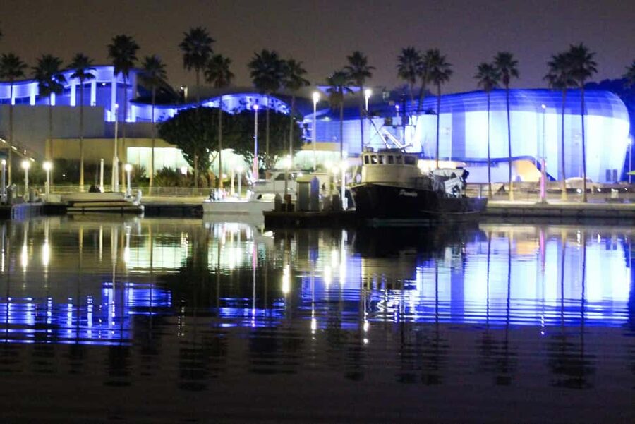 Long Beach: Private Night Yacht Cruise With City Lights - Photos, sea life, and the simple art of watching from water