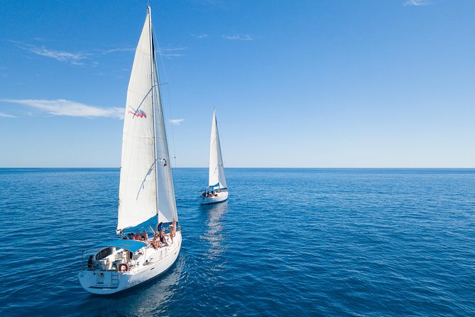 Los Cabos Luxury Sailing, Snorkel and Lunch Cruise - Snorkeling in Santa Maria Bay or Chileno Bay: what to expect underwater
