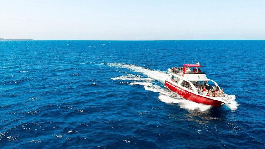 Los Cristianos: Eco Yacht Whale Watching Tour at Sunset - Key highlights you’ll actually care about