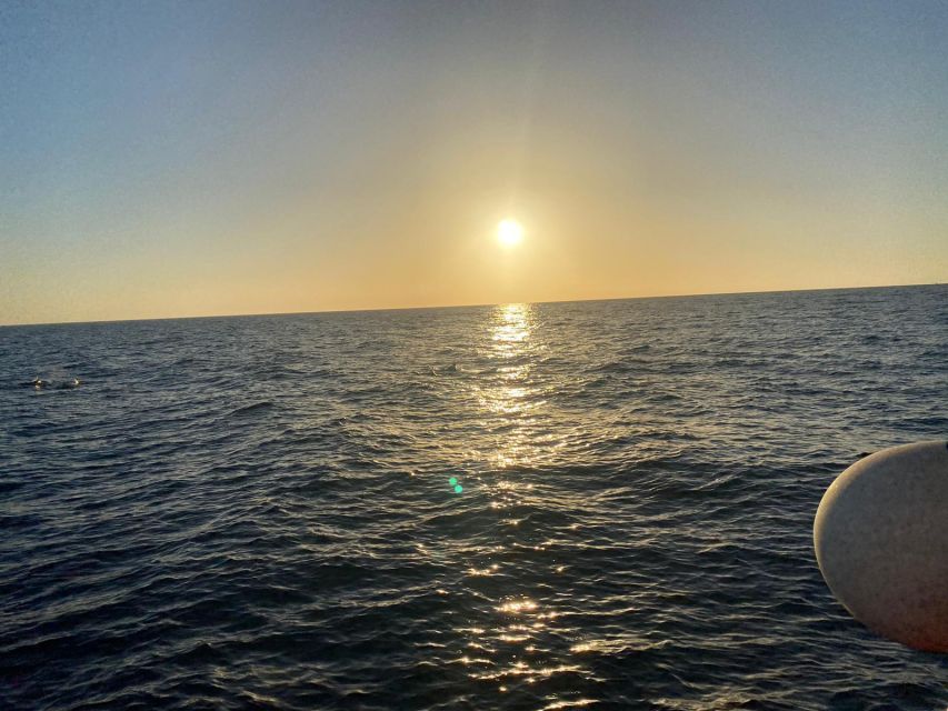 Los Cristianos: Eco Yacht Whale Watching Tour at Sunset - Wildlife viewing without the noise and rush: what ethical means in practice