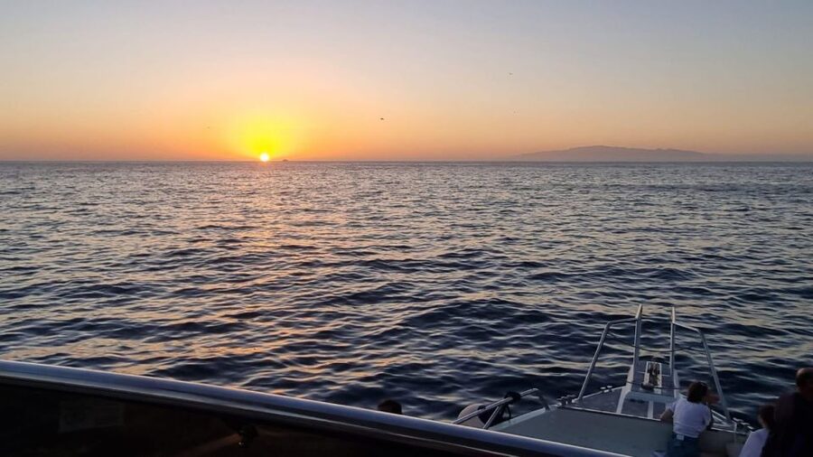 Los Cristianos: Eco Yacht Whale Watching Tour at Sunset - The sunset experience: where the last light becomes part of the plan