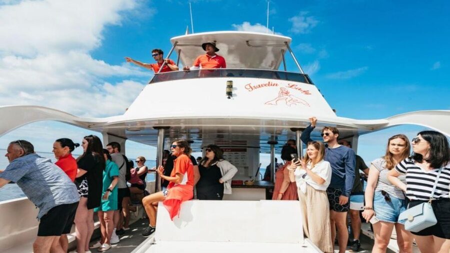 Los Cristianos: Eco Yacht Whale Watching Tour at Sunset - Travelin’ Lady: the eco-yacht features that justify the “premium” tag
