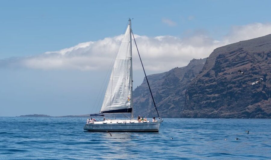 Los Gigantes: Sailing Excursion with Swimming, Drink & Tapas - Key Points You Should Know Before You Go
