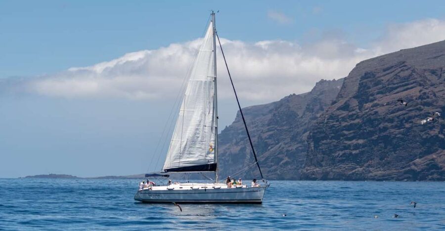 Los Gigantes: Sailing Excursion with Swimming, Drink & Tapas - The Deep-Sea Snorkel Near Los Gigantes: What You Might See Under the Water