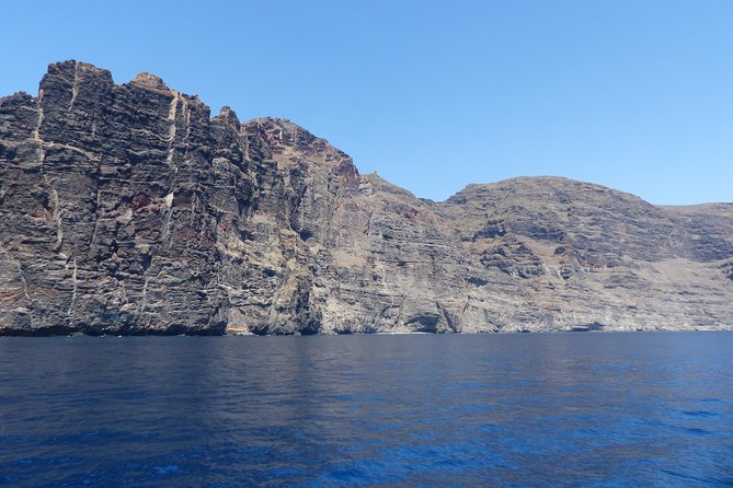 Los Gigantes Whale Watching Charter by Sail Boat - Food, Drinks, and the Vegan/Gluten-Free Advantage