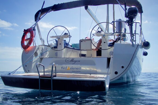 Los Gigantes Whale Watching Charter by Sail Boat - Price and Value in Plain Terms