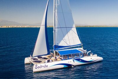 Lounge Catamaran SODADE Half-Day - Palmeira’s fishing-port moment (and why the timing works)
