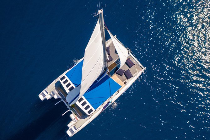 Lounge Catamaran SODADE Half-Day - Wildlife: turtles, and the chance of whales