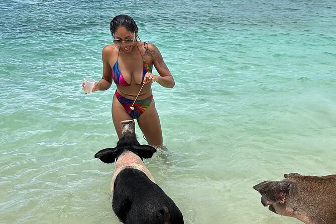 Luxury Catamaran Cruise: Sip, Sail, Snorkel, and Swim with Pigs! - Key Things I’d Prioritize