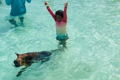 Luxury Catamaran Cruise: Sip, Sail, Snorkel, and Swim with Pigs! - The Day’s Route, Stop by Stop