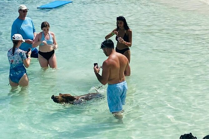 Luxury Catamaran Cruise: Sip, Sail, Snorkel, and Swim with Pigs! - What the Crew Does That Changes the Day