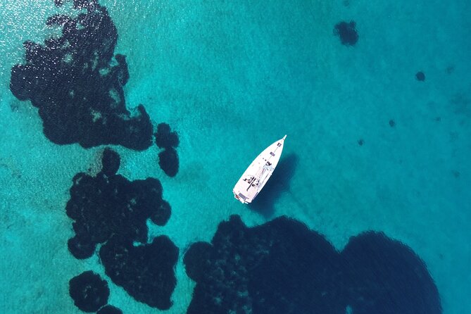 Luxury Catamaran Morning Semi-Private & Greek Gastronomy Athens - Greek gastronomy on the water: breakfast bites to fresh desserts