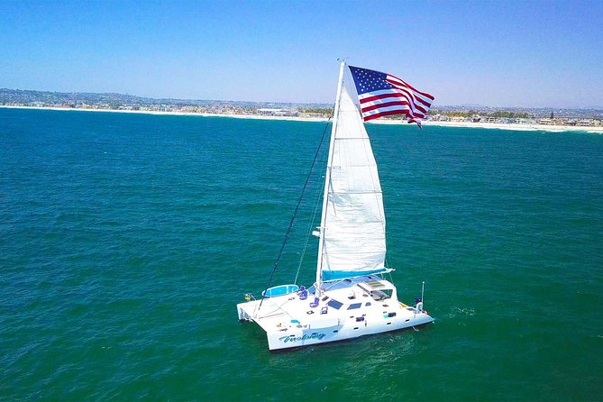 Luxury Catamaran Sailing Charter of San Diego - What You’ll Do Onboard: Smooth Cruising, Wildlife, and Crew Care