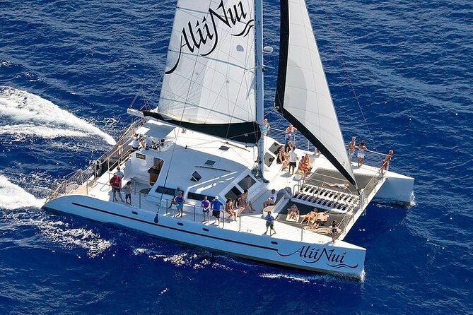 Luxury Catamaran Whale Watch - Why West Maui humpbacks and this catamaran fit together