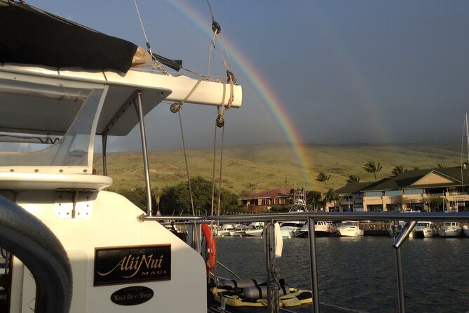 Luxury Catamaran Whale Watch - Should you book? My decision guide for the right kind of whale watcher