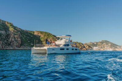 Luxury Catamaran Whale Watching Cabo San Lucas - Price and value: $129 plus the real-life fees
