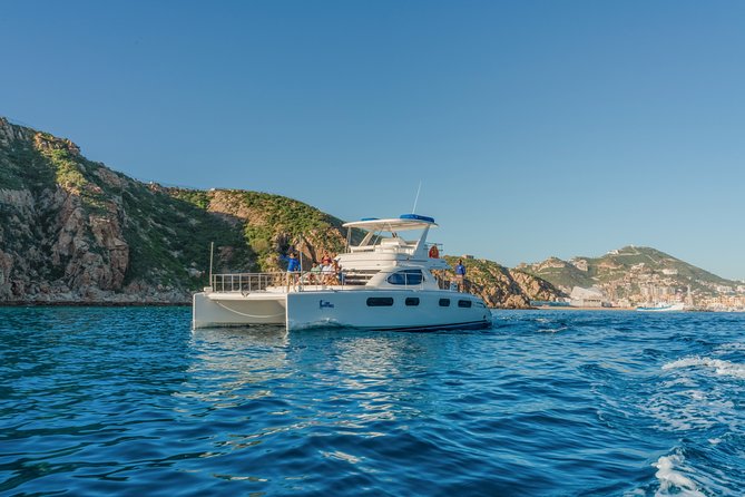 Luxury Catamaran Whale Watching Cabo San Lucas - Price and value: $129 plus the real-life fees