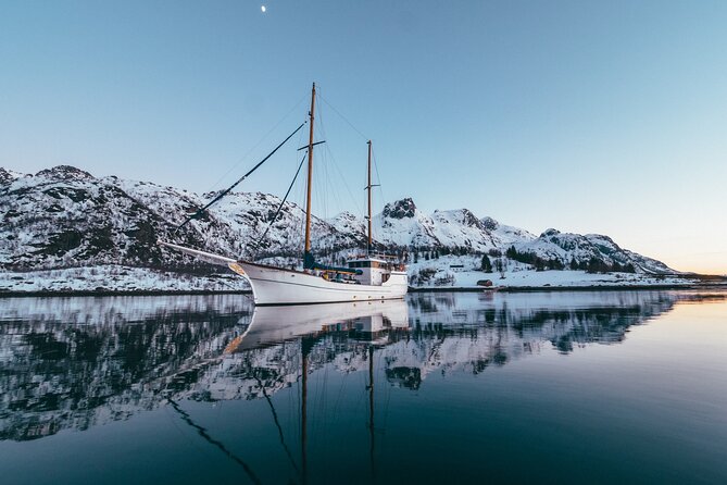 Luxury Northern Lights Yacht Cruise with Hot Tub from Tromsø - Price Check: Is $344.96 Worth It?