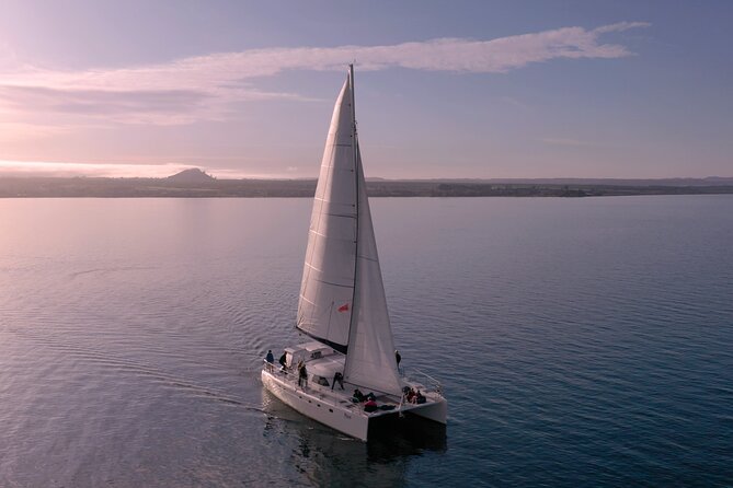 Luxury Sailing - Māori Rock Carvings - Taupo Sailing Adventures - Drinks and snacks: what you get built into the sailing