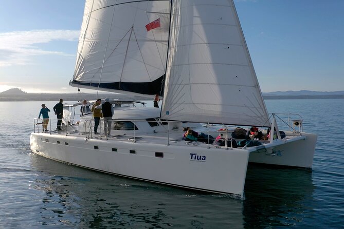 Luxury Sailing - Māori Rock Carvings - Taupo Sailing Adventures - Tiua onboard: covered cockpit, cabins, and practical comfort