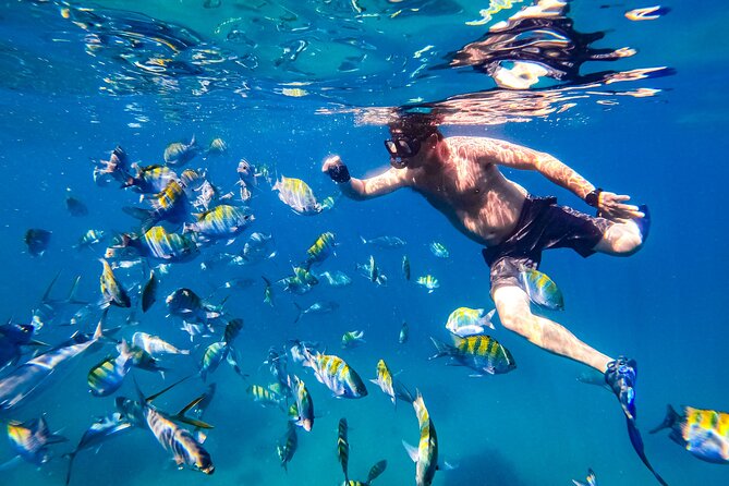 Luxury Yacht & Snorkel with All inclusive Open bar and lunch - Cruise views: Bay-of-Banderas sights you can’t replicate from shore