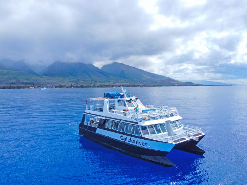 Ma'alaea Harbor: Whale Watching Tour Aboard Power Catamaran - Double-deck catamaran comfort and where to sit for whale views