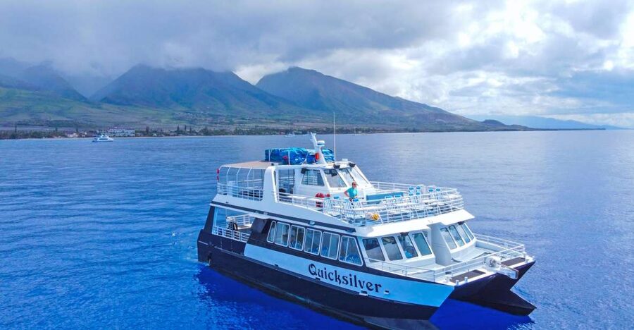 Ma'alaea Harbor: Whale Watching Tour Aboard Power Catamaran - What to spot: fin slaps, spy-hops, and the breach
