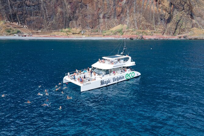 Madeira Dolphin and Whale Watching on a Ecological Catamaran - Key takeaways before you go