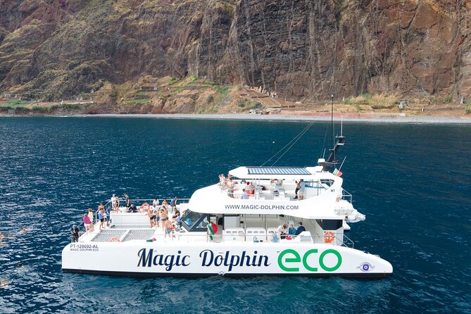 Madeira Dolphin and Whale Watching on a Ecological Catamaran - A short 3-hour cruise that feels built for wildlife