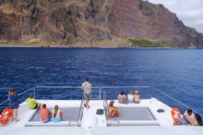 Madeira Dolphin and Whale Watching on a Ecological Catamaran - Meet at Magic Dolphin in Funchal, then head out along the south coast