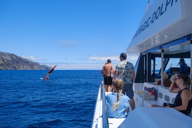 Madeira Dolphin and Whale Watching on a Ecological Catamaran - The coastline “bonus lap” on the return to Funchal