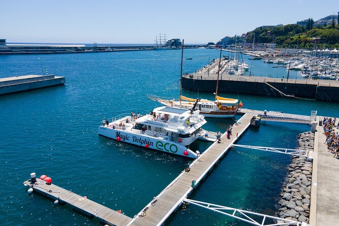 Madeira Dolphin and Whale Watching on a Ecological Catamaran - Comfort and what to pack for a windy, wet Madeira sea day