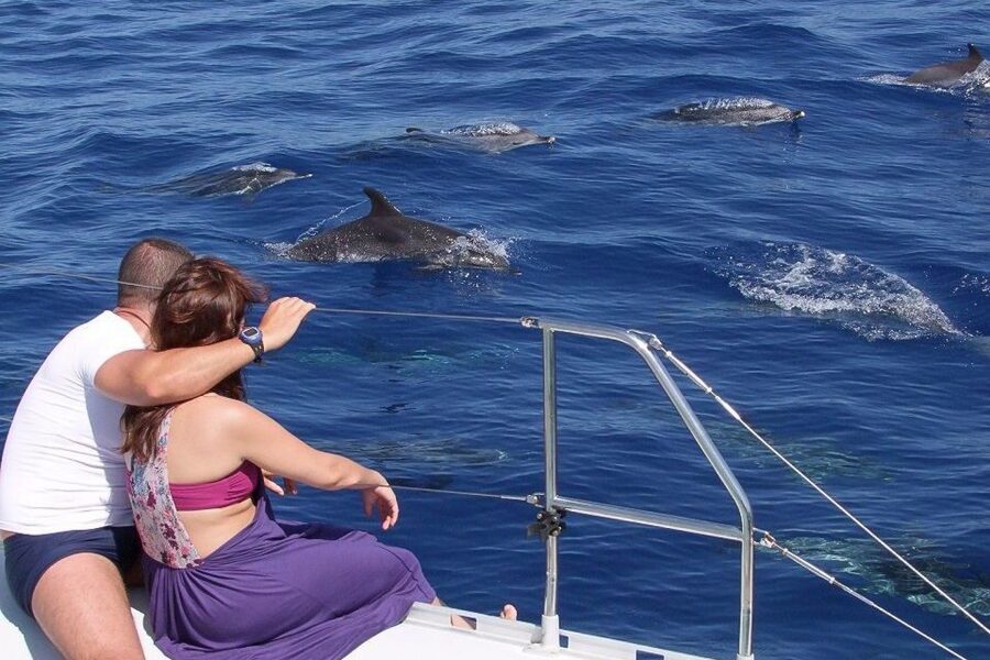 Madeira: Funchal Sunset Tour by Catamaran - Why This Madeira Sunset Cruise Feels Different From the Usual Boat Trip