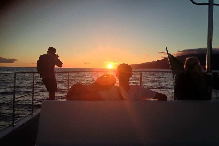 Madeira: Funchal Sunset Tour by Catamaran - The 3-Hour Plan: How the Sailing Actually Flows