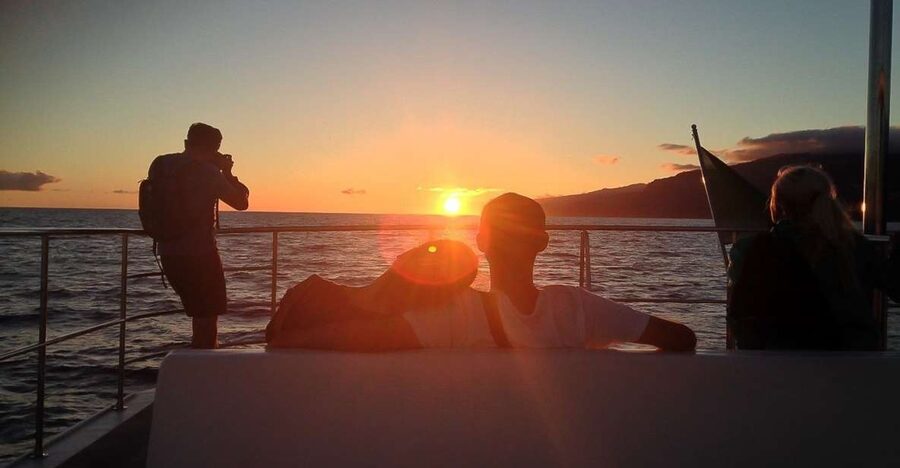 Madeira: Funchal Sunset Tour by Catamaran - Getting to the Boat: Funchal Marina Check-In Without the Headache