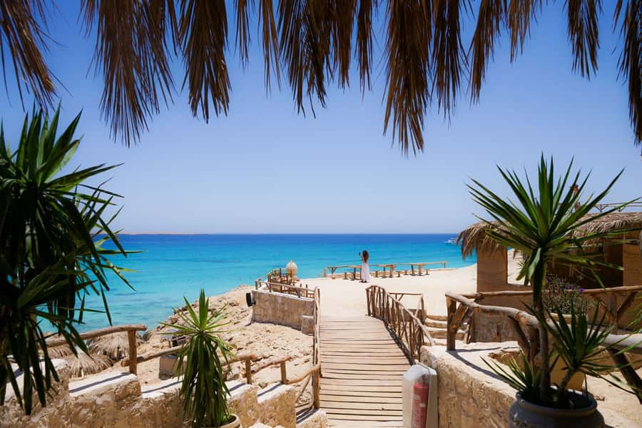 Mahmya Island: Red Sea Sailing Experience - Time on Mahmya Beach: White Sand, Parasols, and Swim-Ready Water