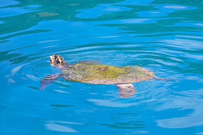 Major Tom -Sailing Day Cruise, with Snorkeling, Lunch & More! - Cruising back with views: the part you won’t notice until you miss it