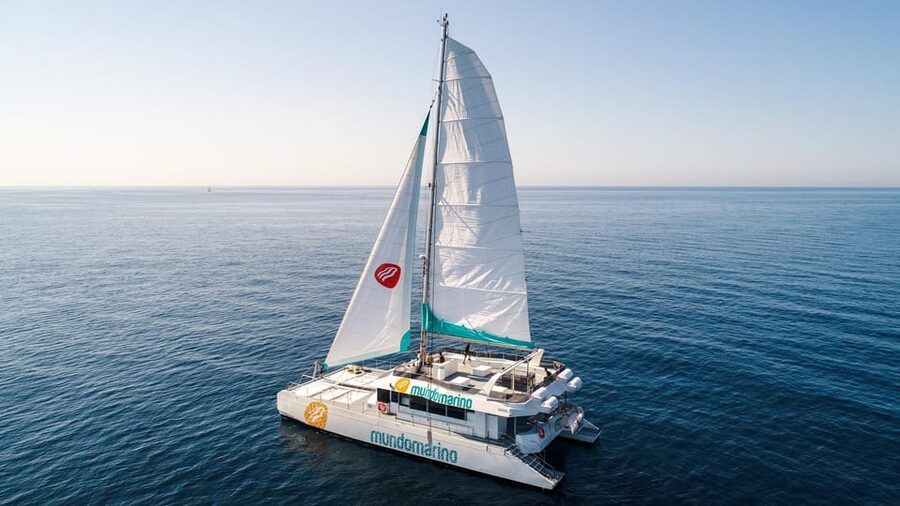 Malaga: Catamaran Sailing Cruise with Swimming & Optional DJ - Drinks on Board: Why the Bar Changes the Value