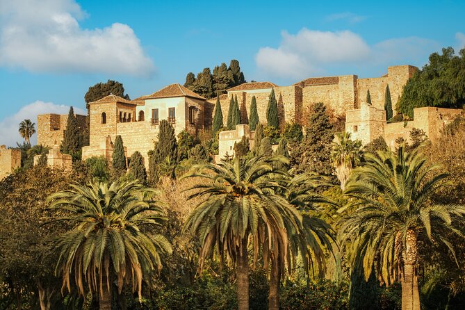Malaga Private Walking Tour, Alcazaba & Catamaran Cruise - Alameda Principal to Muelle Uno: the half-day shape of this tour