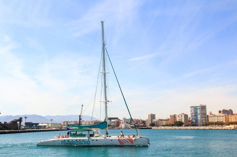 Malaga: Sailing Catamaran with Swimming and Paella Lunch - Who should book this Malaga catamaran trip