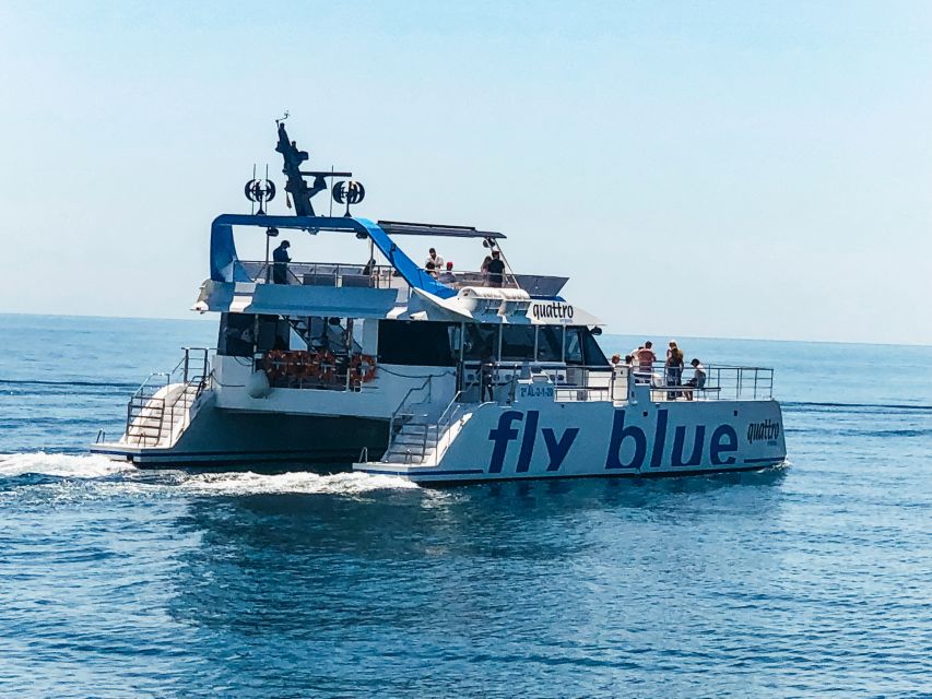 Málaga: Scenic Catamaran Cruise - Who This Catamaran Cruise Suits Best