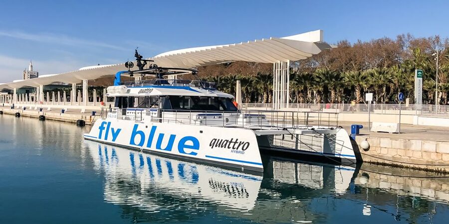 Málaga: Scenic Catamaran Cruise - Dolphins and Other Big-Boat Moments