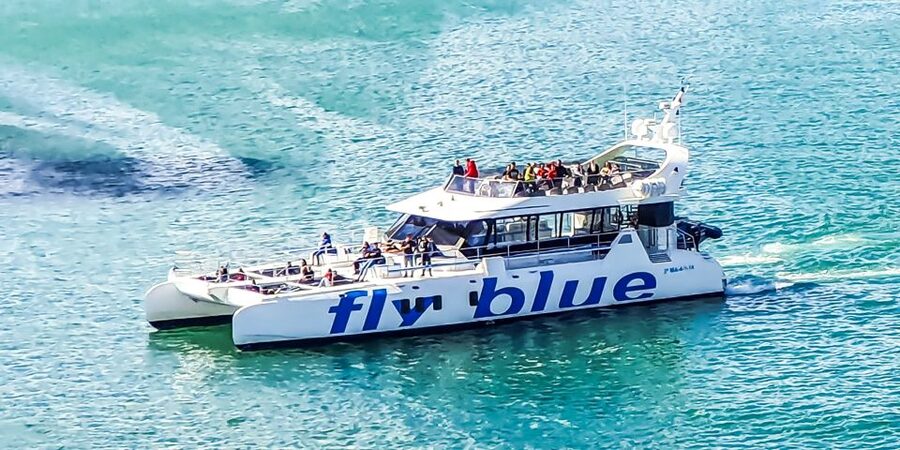 Málaga: Scenic Catamaran Cruise - Comfort Notes That Matter: Clean Decks, Smooth Sailing, and Small Flaws