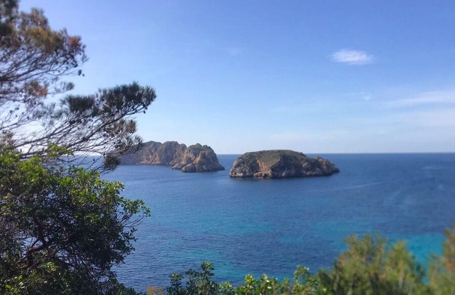Mallorca: 2-Hour Coastline & Malgrat Islands Catamaran Tour - A Quick Reality Check on Environment and Rules